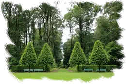 desbroces de fincas y parcelas Desmalezado de terrenos