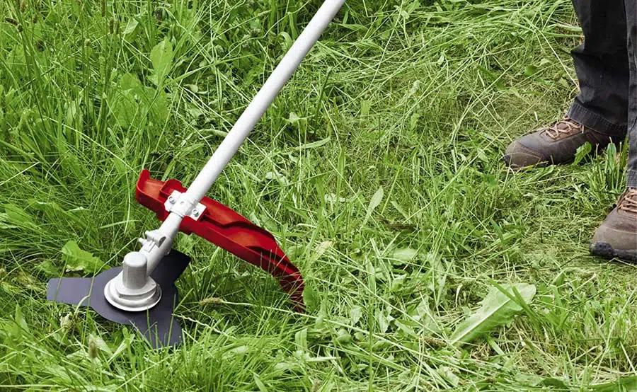 desbroce de fincas y parcelas Limpieza de terrenos