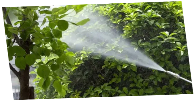Fumigación Fumigar