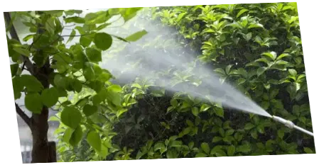 Fumigación Fumigar