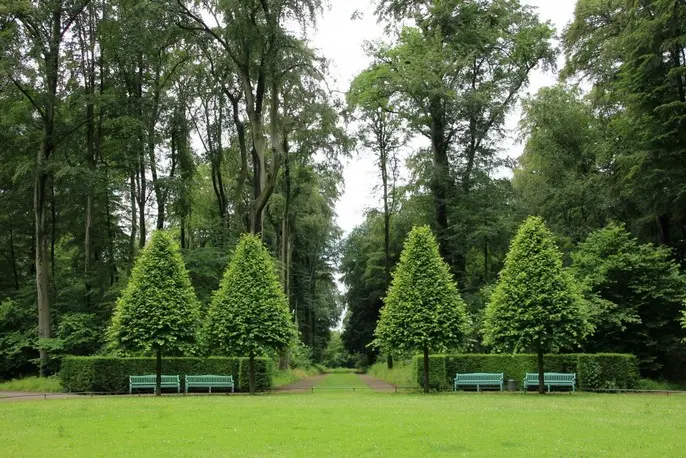 Servicio de Jardinería Mantenimiento de jardines