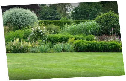 Servicio de Jardinería Mantenimiento de jardines