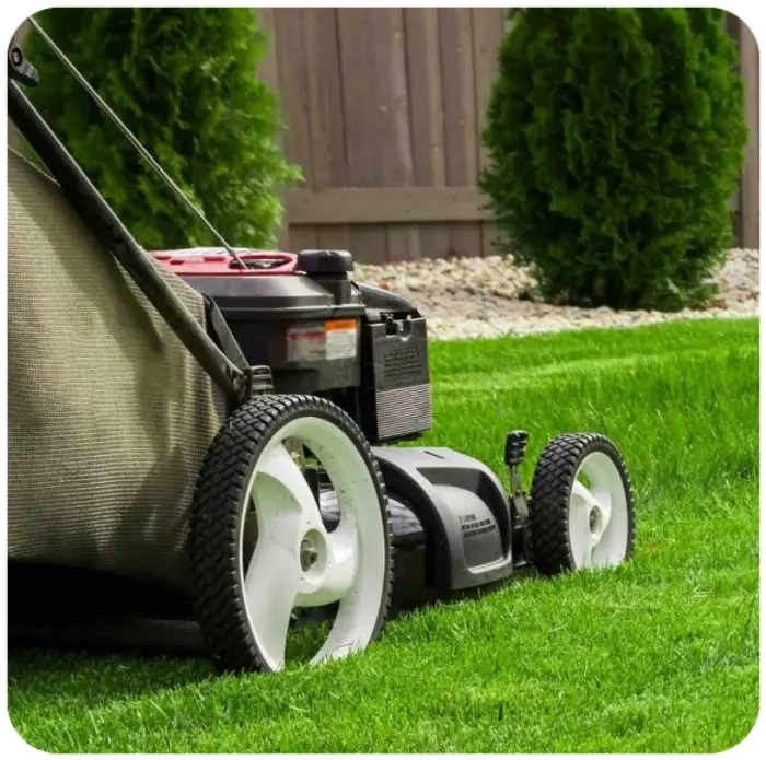 Mantenimiento de jardineria Limpieza de jardines