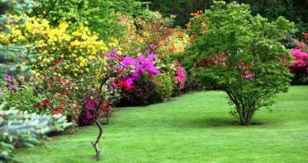 Servicio de Jardinería Mantenimiento de jardines
